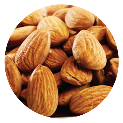 Almond Regular 1