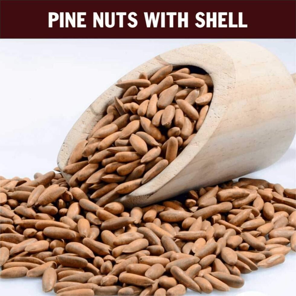 Pine Nuts With Shells 3 1