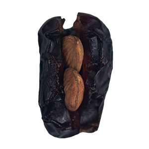 ROASTED ALMONDS 1