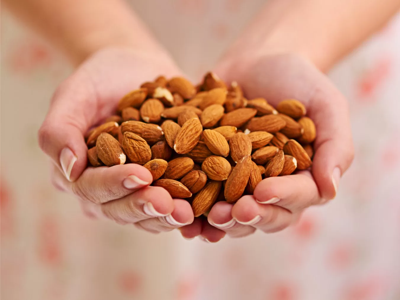 Health Boost in Every Bite: Buy Almonds for Your Well-being