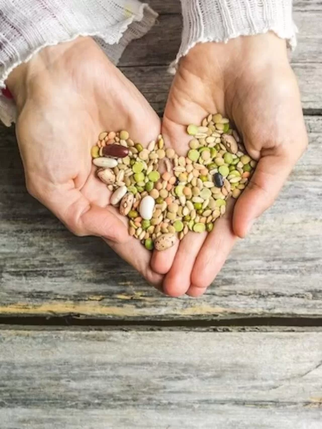 A Variety of Healthy Seeds for Nutritional Boost